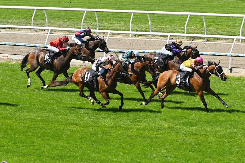 「めちゃくちゃ可愛くて綺麗」東京競馬場に舞い降りた“人気女子アナ”に大反響「どんな場所にいても気品漂う」「笑顔が爽やか」