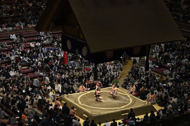 「仕切り中でチラチラ映る」大相撲千秋楽、和服姿の大物女性タレントに視線集中「珍しくお着物なのね」