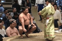 「新車のSUV買えますよ」元横綱・若乃花も驚愕…正代が２日で稼いだ懸賞金516万円に視聴者騒然【大相撲夏場所】