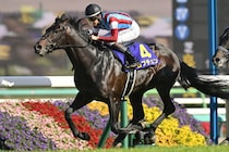 「皐月賞組」「別路線組」の取捨選択は？ 皐月賞Vロブチェンよりも日本ダービーで注目すべき“３頭“