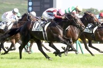 ロブチェンの強さが改めて証明された日本ダービー　父の種牡馬“価値”はさらに上昇