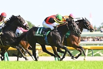 パンジャタワーでも、ステレンボッシュでもない…GⅠ馬を差し置いても本命に推す“東京マイル巧者”【安田記念】