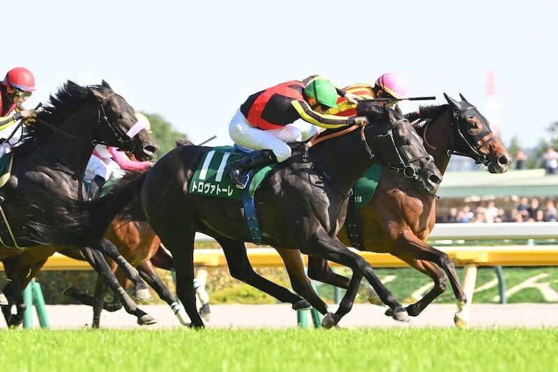 パンジャタワーでも、ステレンボッシュでもない…GⅠ馬を差し置いても本命に推す“東京マイル巧者”【安田記念】