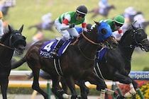 不思議なムード漂ったマイル頂上決戦　武豊騎手の匠の技＋シックスペンス陣営の“失敗を恐れない探求心“が戴冠手繰り寄せる【安田記念】