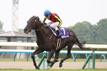 GⅠ２連勝中クロワデュノールに「死角なし」　対抗はメイショウタバルでも、レガレイラでも、ダノンデサイルでもなく…【宝塚記念】