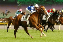 【名馬列伝】“反骨のトレーナー” 昆貢、笠松牧場の代表馬ディープスカイ　変則二冠の信念