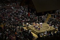 「とにかく目立つ」特等席に姿を現した名物好角家「若々しく美しい」と話題に　“３代目山の神”の素敵な孝行にも注目「揃ってお出ましの日だ」