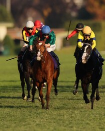 ジャパンカップの激闘から８か月…マスカレードボールvsカランダガンが英国で再戦【キングジョージⅥ世＆クイーンエリザベスS】
