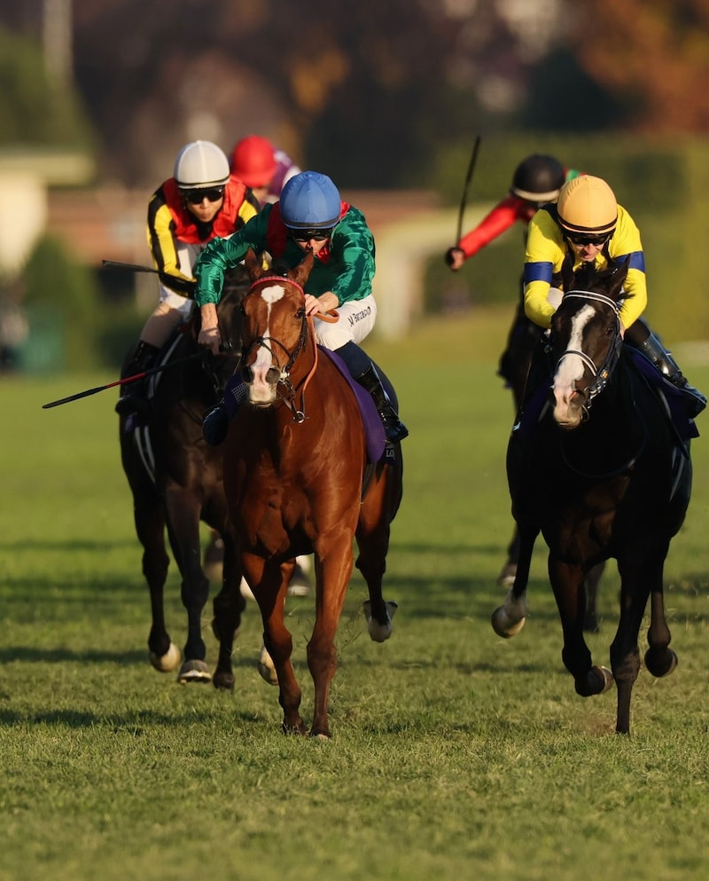 ジャパンカップの激闘から８か月…マスカレードボールvsカランダガンが英国で再戦【キングジョージⅥ世＆クイーンエリザベスS】