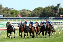 「めちゃくちゃ可愛い」小倉競馬場に舞い降りた、日本舞踊家と二刀流の“実力派女優”に視線集まる「大和美人」「お綺麗です」