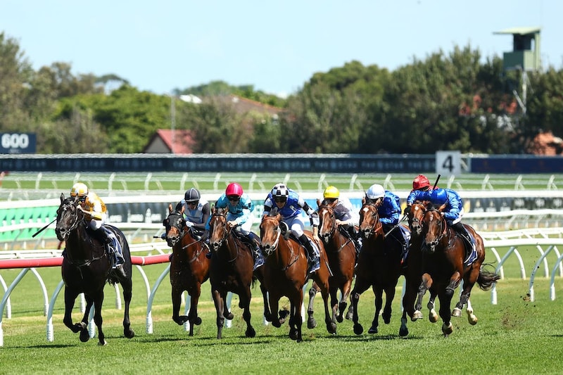 「めちゃくちゃ可愛い」小倉競馬場に舞い降りた、日本舞踊家と二刀流の“実力派女優”に視線集まる「大和美人」「お綺麗です」