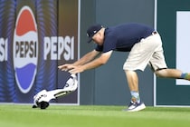 MLB球場に“かわいい乱入者”「止められない」球場スタッフとの追いかけっこ、ファン盛り上がり「今夜のMVP決定」