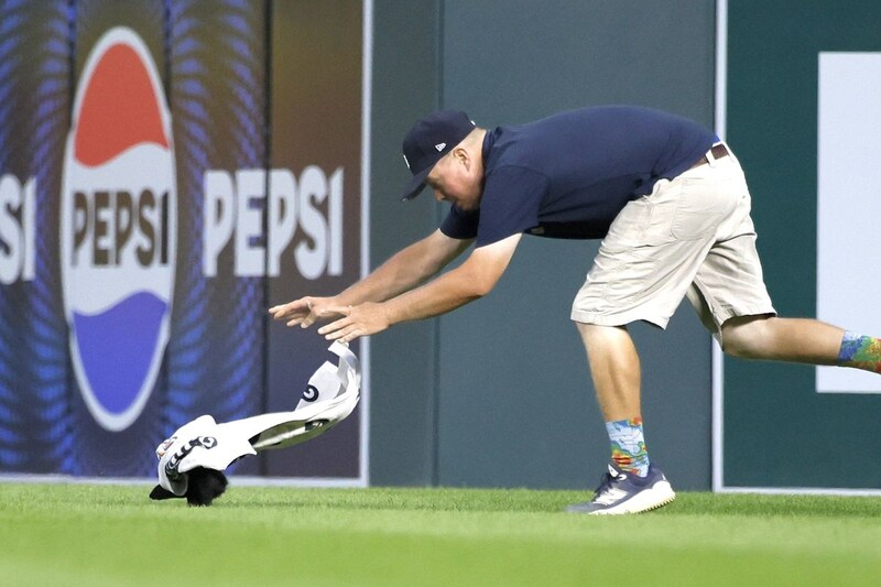 MLB球場に“かわいい乱入者”「止められない」球場スタッフとの追いかけっこ、ファン盛り上がり「今夜のMVP決定」