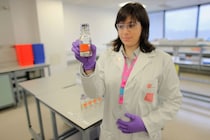 女子テニスで「遺伝学的性別検査」義務化へ！トップ選手の多くは賛成も妊娠経験者からは戸惑いの声＜SMASH＞