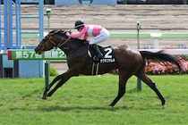 実力拮抗の札幌記念で浮上する洋芝巧者サクラファレル　重賞未勝利も血統背景に魅力