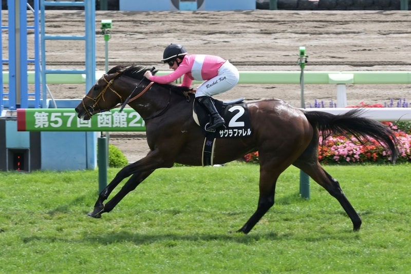 実力拮抗の札幌記念で浮上する洋芝巧者サクラファレル 重賞未勝利も血統背景に魅力
