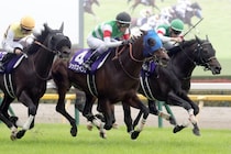 98年タイキシャトル以来の日本馬28年ぶりVなるか　海外大本命の回避で一転混戦模様【ジャックルマロワ賞】