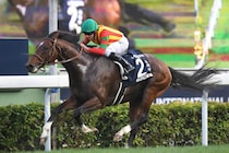 日本と香港を制圧したモーリス　４歳で覚醒した二階級制覇のマイル王【名馬列伝】