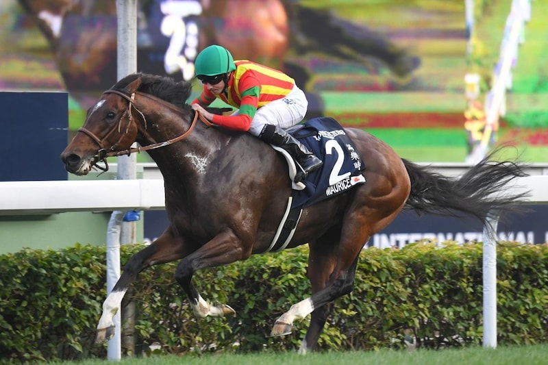 日本と香港を制圧したモーリス　４歳で覚醒した二階級制覇のマイル王【名馬列伝】