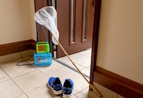 孫を溺愛する祖父母　夏に孫の初めて虫取り⇒祖父の”丁寧な教え”に…「絵本みたい」