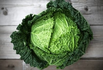 買ったキャベツを廊下に放置→しかし次の瞬間…愛犬の”まさかの行動”に「何これ！」