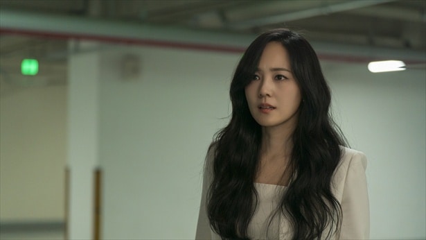 「ファーストレディ」はLeminoで配信中