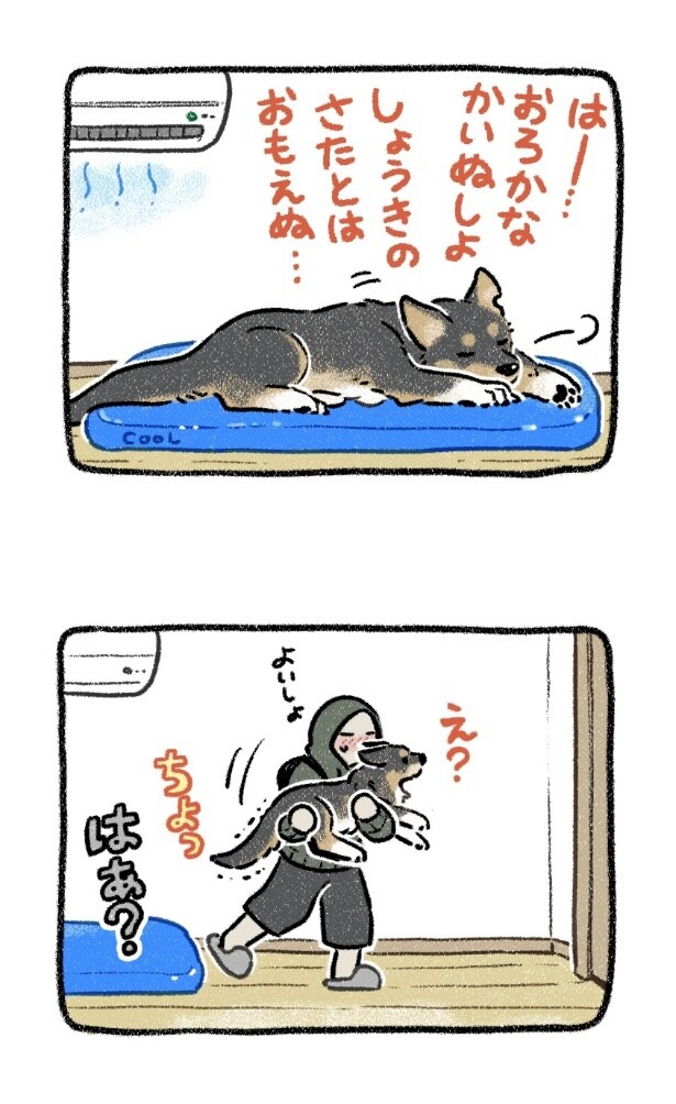 『正気の沙汰じゃない』より