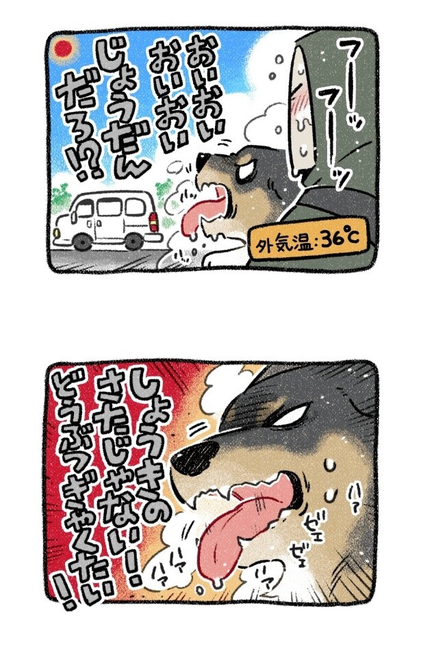 『正気の沙汰じゃない』より