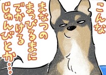 酷暑の中、飼い主に連れ出された犬…着いた先はプールで思わず「理性が無くなる瞬間が」「目がキラキラで最高」【漫画】