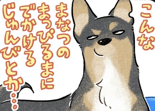 酷暑の中、飼い主に連れ出された犬…着いた先はプールで思わず「理性が無くなる瞬間が」「目がキラキラで最高」【漫画】