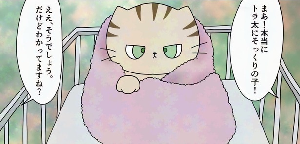 病弱な兄猫を救うためにやってきた子猫…のちに明かされる残酷で哀しい事実に「涙が止まらない」【漫画】