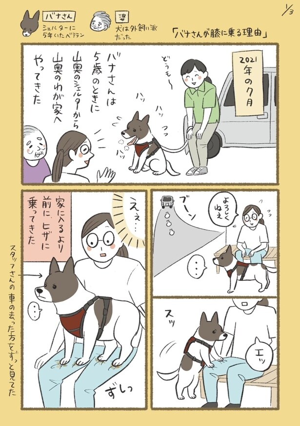 『バナさんが膝に乗る理由』(1／3)