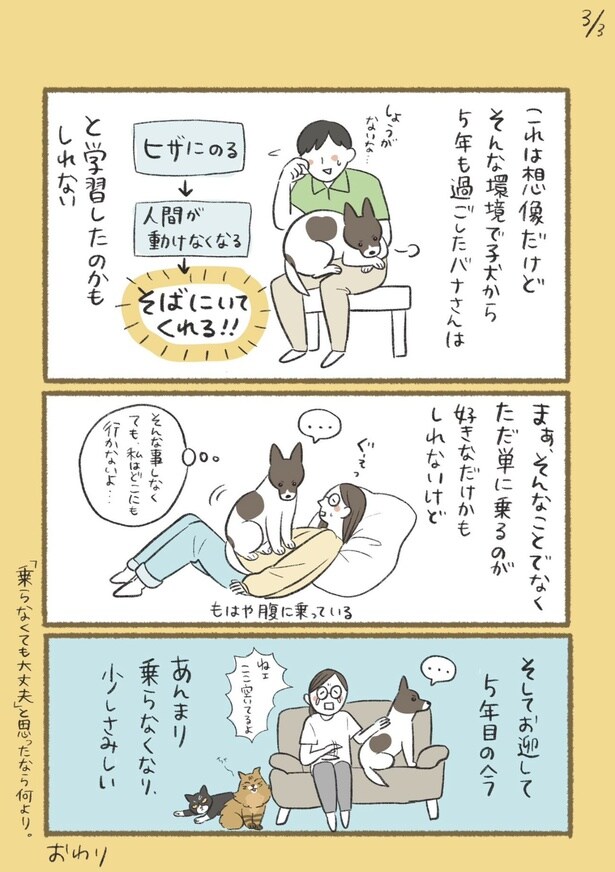 『バナさんが膝に乗る理由』(3／3)