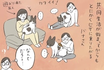 巨大シェルターからやってきた5歳の雑種犬…飼い主の膝に乗りたがる理由に「ほっこりした」【漫画】