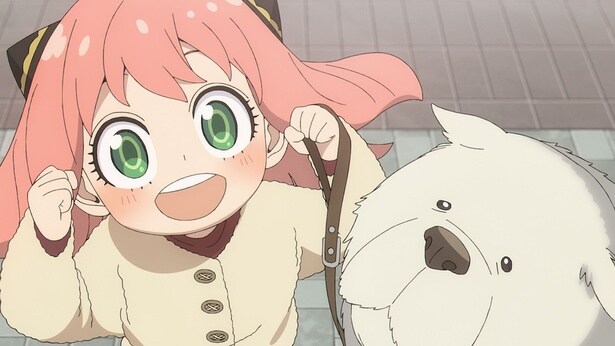 『SPY×FAMILY』江口拓也×早見沙織×種崎敦美×松田健一郎がSeason 3を語る　江口＆早見の伝説級イラストにスタジオ騒然