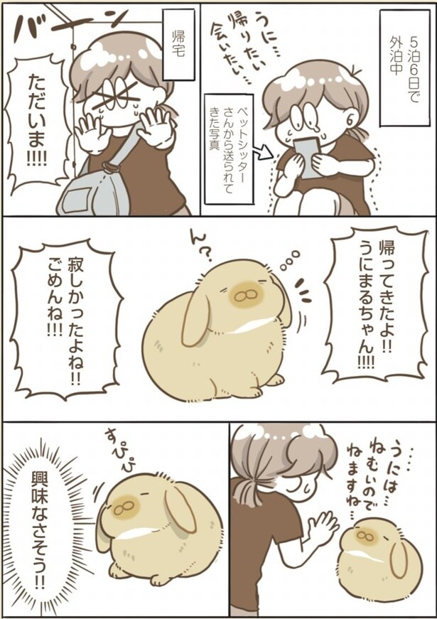 『うちのうさぎは今日ものんびり』(1/28)