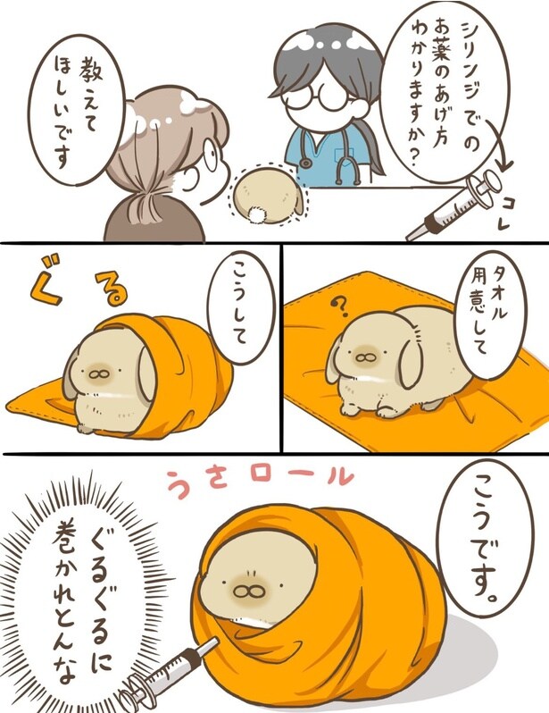 『海外ではバニーブリトーって言うらしい。とてもかわいい。』