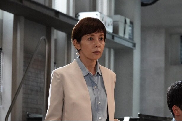 情報犯罪に立ち向かう刑事の奈美(沢口靖子)