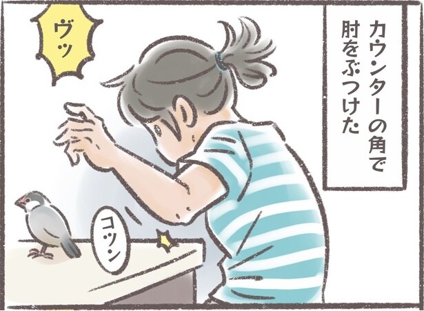 『群れの一員として認識されているので異変を感じると心配してくれる』より