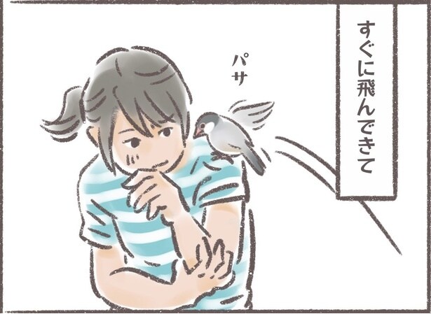 『群れの一員として認識されているので異変を感じると心配してくれる』より