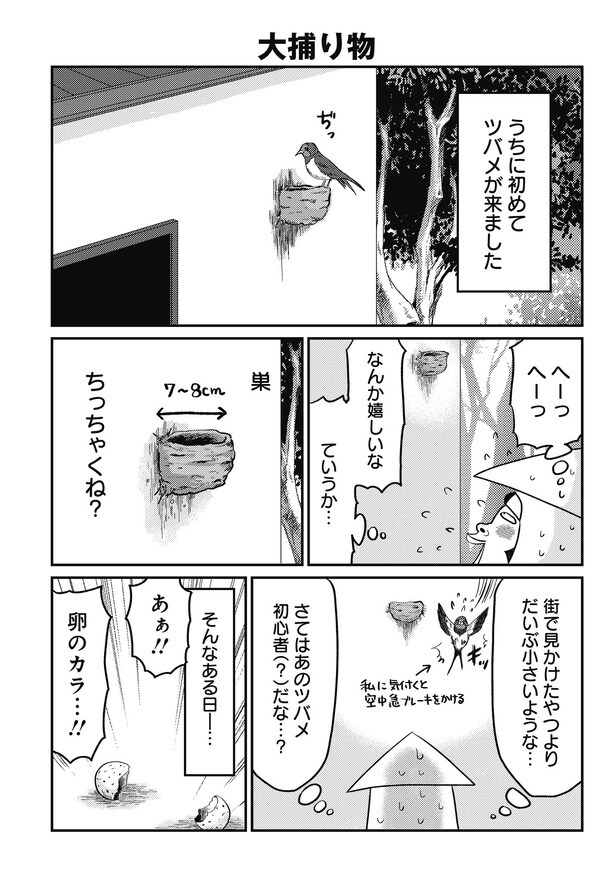 『オタクだよ！いかゴリラの元気が出るマンガ』より『大捕り物』(1／9)
