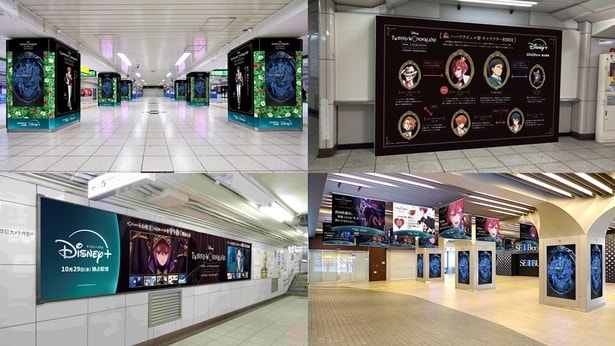 「ディズニー ツイステッドワンダーランド ザ アニメーション」池袋広告より