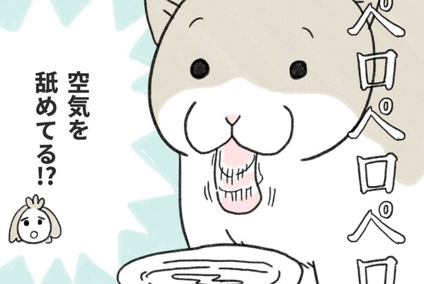 空気を舐め続けるねこたろう