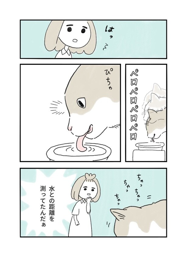 「うちの猫、お水飲むのヘタかも」(2／3)