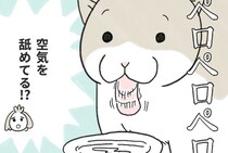 水を飲む時に“空気を舐めてしまう猫”…飼い主が発見した新たな気づきに「何とも言えない可愛さ」【漫画】
