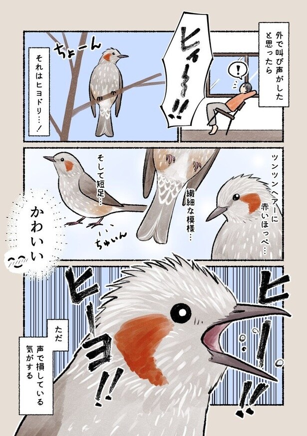 『身近で目にする鳥たちの意外と知らない素顔！？』（7／12）