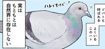 人を信じきれないスズメ、がんばるツバメ…身近な鳥たちの素顔に「ますます愛しい」【漫画】