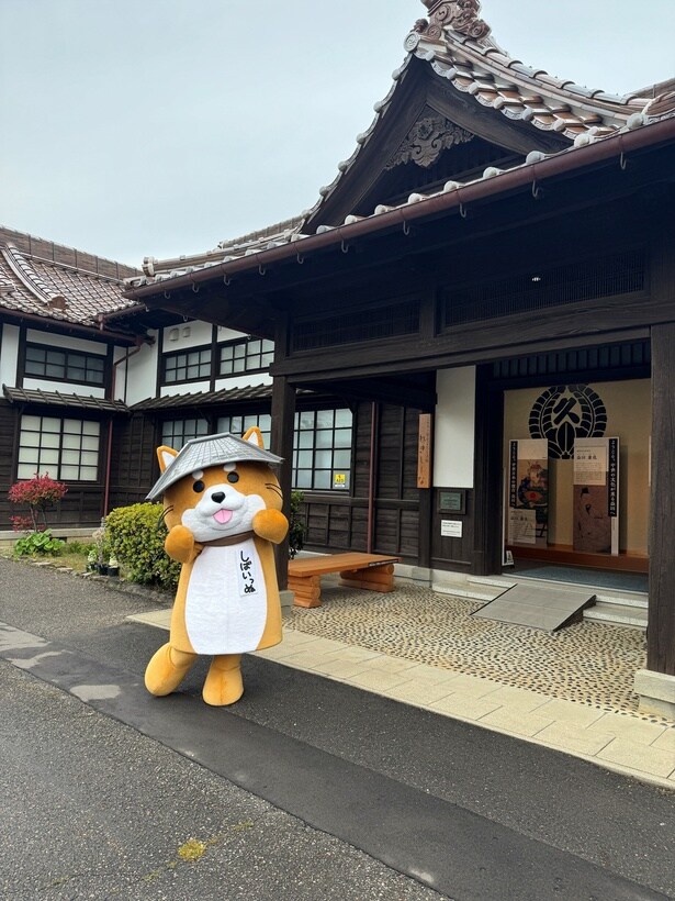 島根・益田市で生まれたしばいっぬ