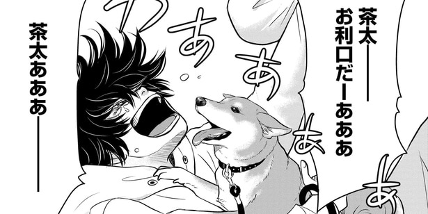 オレたちは最強コンビ…耳が聞こえない犬と飼い主の心温まるストーリーに「めっちゃ泣いた」【漫画】