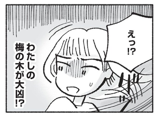 【漫画】不運の原因が判明⁉ 家族に内緒で風水師からアドバイスを受けた結果/占いにすがる私は間違っていますか?(7)